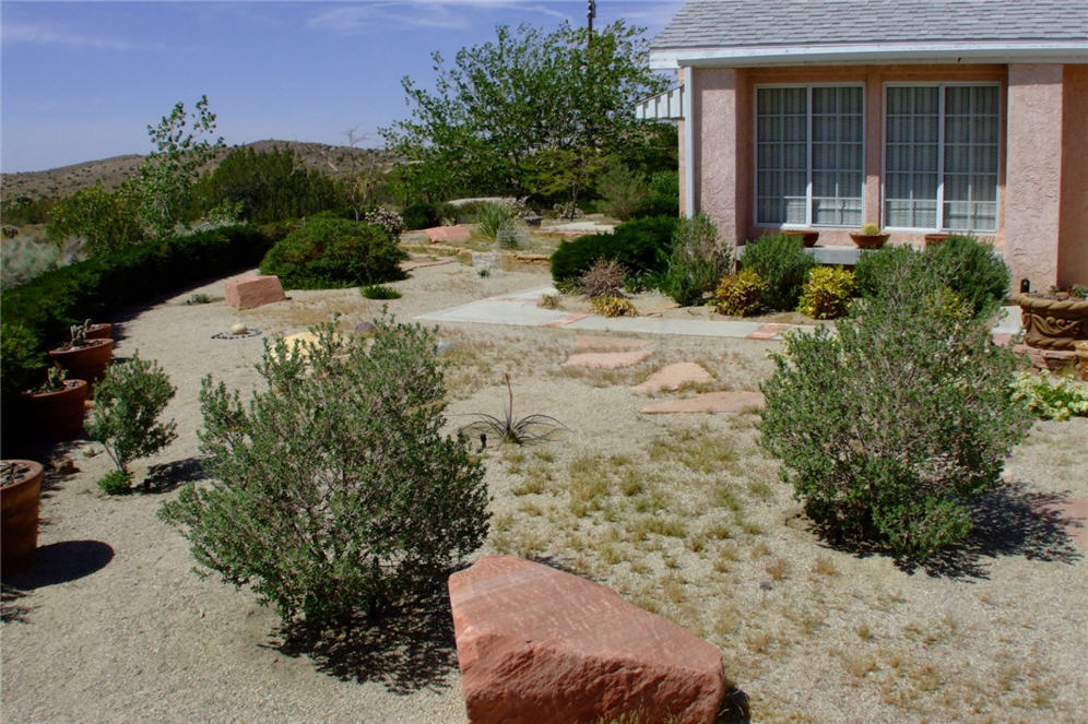 Mojave Living Garden