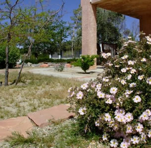Mojave Living Garden