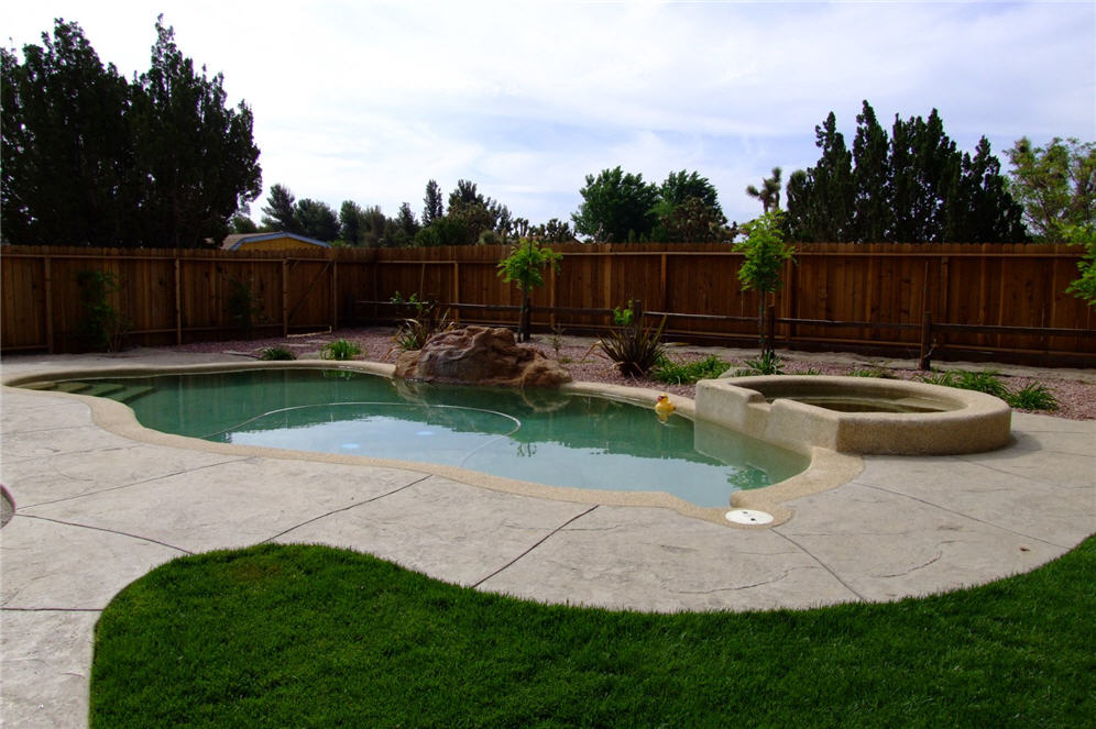 Backyard Pool Garden