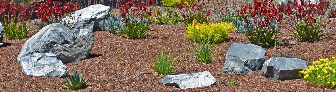 Slider image 1