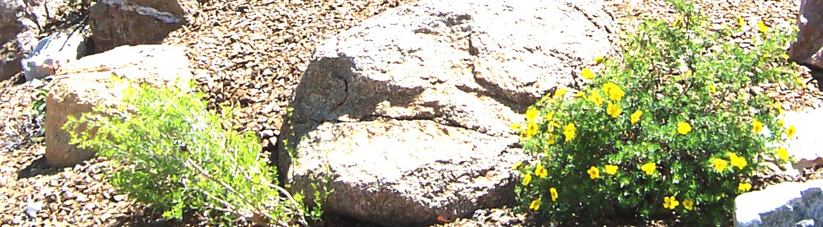 Slider image 2